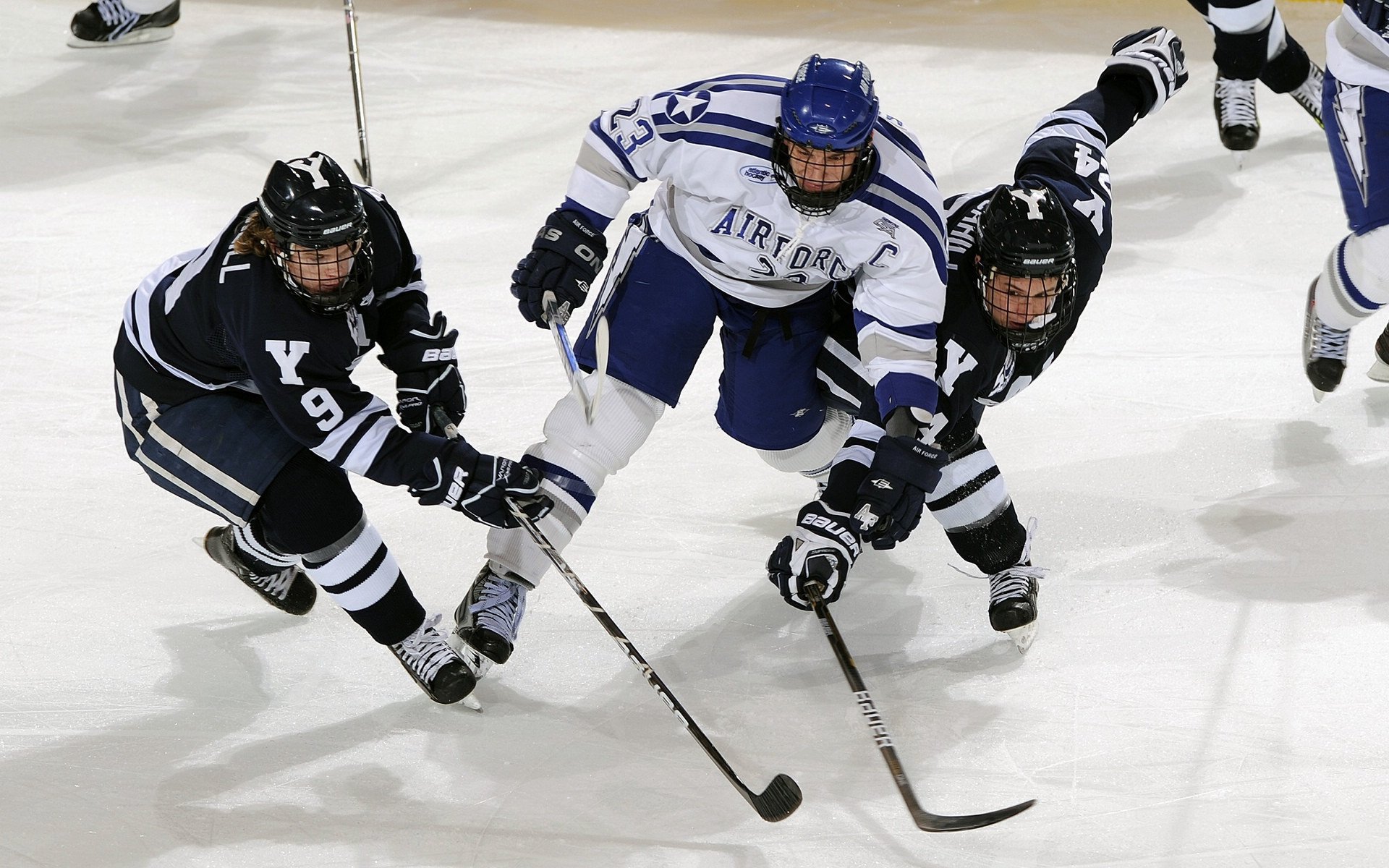 湖人队迎来新赛季,士气燃烧,nba新赛季湖人队