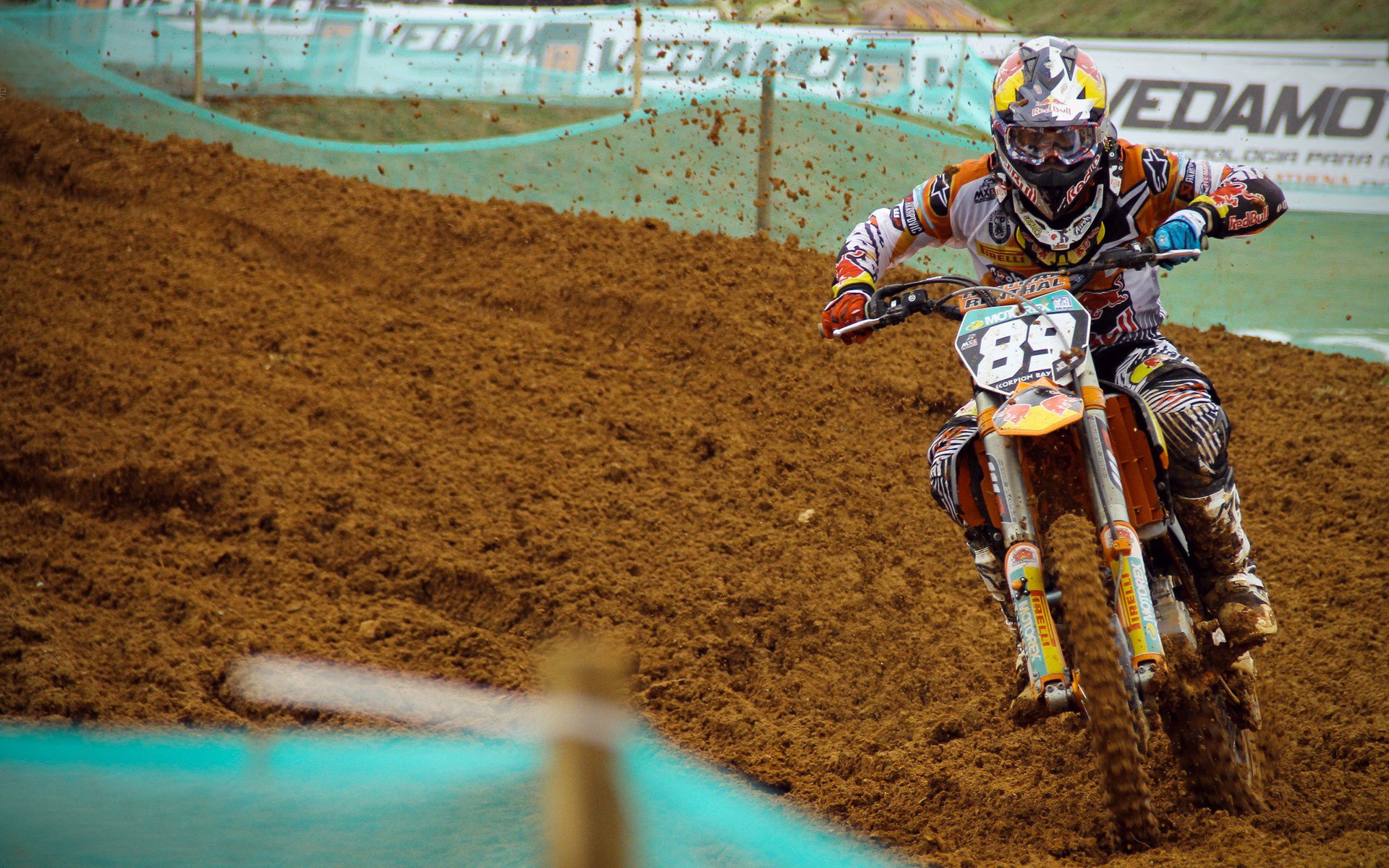 球场上的年轻面孔点燃希望，球场上的少年